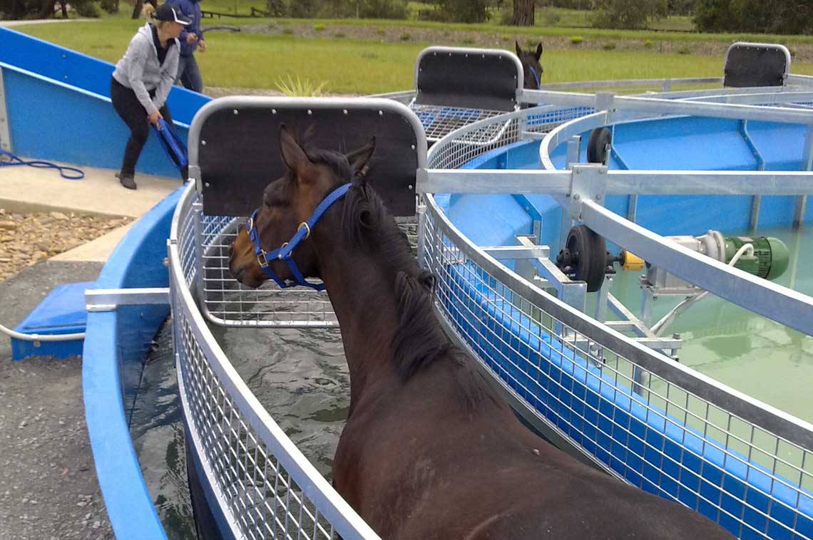 Water Walker GG Engineering